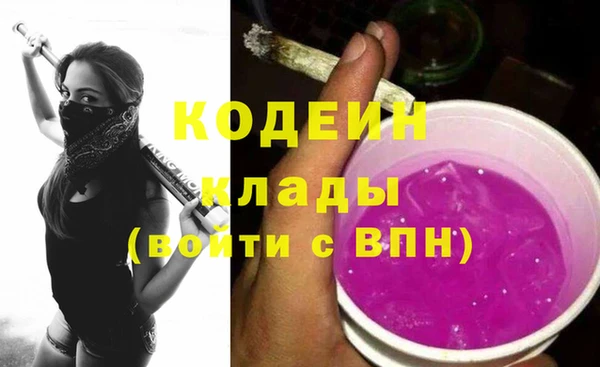 молекула духа Лабытнанги