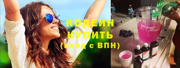 молекула духа Лабытнанги