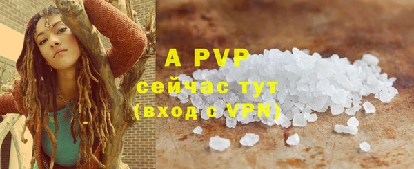 молекула духа Лабытнанги