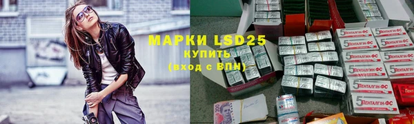 молекула духа Лабытнанги