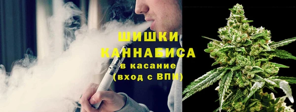 молекула духа Лабытнанги